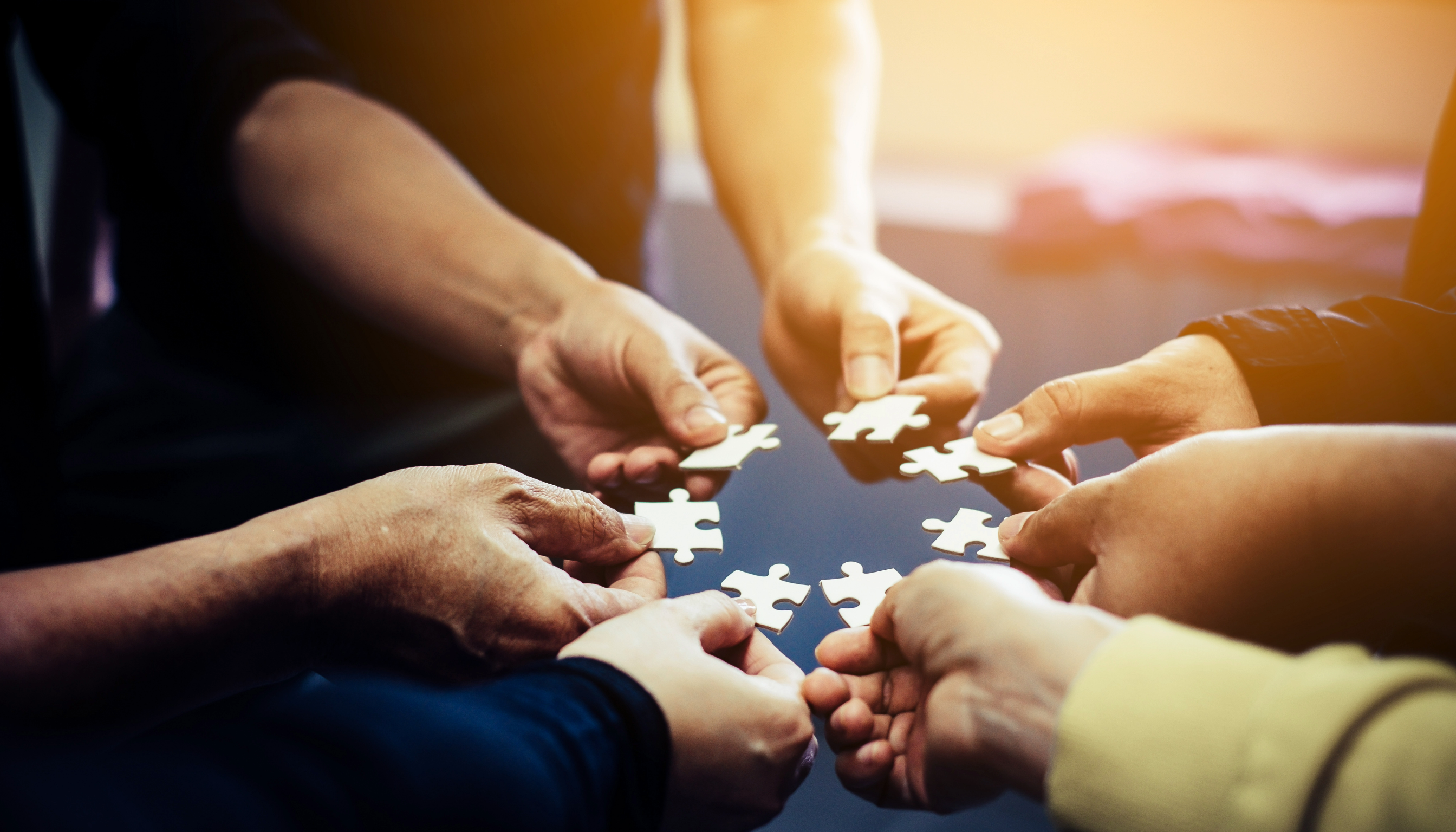SDMX-puzzle-piece-together
